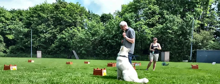 Hundeführer belohnt seinen aufmerksam sitzenden Hund mit einem Ball